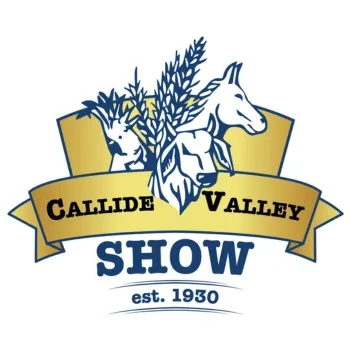 Callide Valley Show